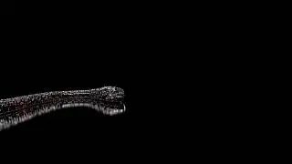 Cinema 4D - Texture , Model and Animate snake .