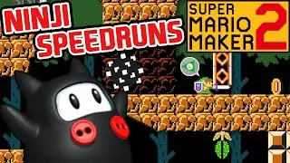 Link's Speedy Adventure! | Ninji Speedrun [#2]