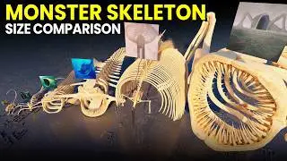 Monster Skeleton Size Comparison - SEA EATER Vs EREN JAEGER