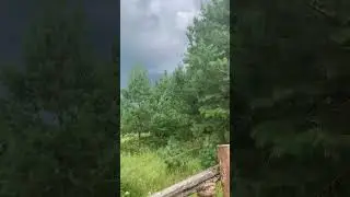 Перед грозой #гроза