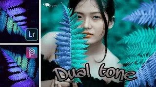 edit foto dua warna ||Lightroom no presets