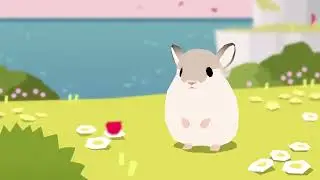 Forest Island - 3rd anniversary Chinchilla (H) 2