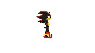 Shadow The Hedgehog Test