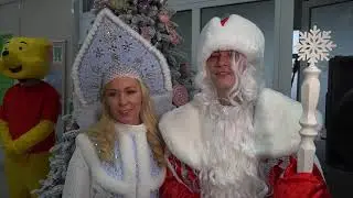 SHAMAN 🎄 