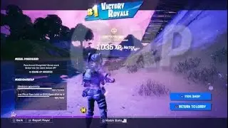 Celebration Cup Solo Tournament Fortnite Chapter 2 #93 place