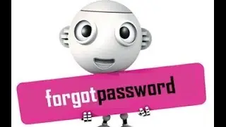 Forgot User Password WordPress in localhost or any server