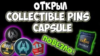 Открываю Collectible Pins Capsule Series 1 !