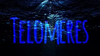 Telomeres by Sleep Token (Lyric Video)