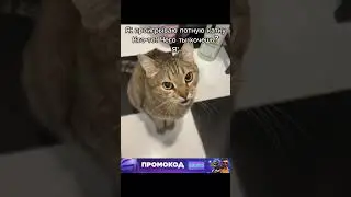 #слив