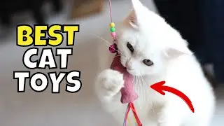 The Best Cat Toys of 2025, According to Experts