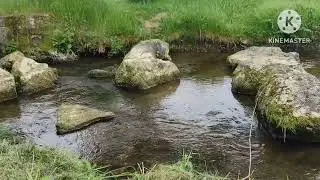 Good vibes with Nature | Water Sound | ASMR