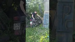 хф"оживить за 60 секунд"