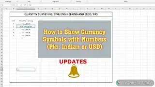 How to Show Currency Symbol of Countries in Excel | Workday Excel | In Person Excel Training