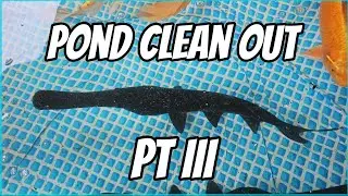 Pond Clean Out Pt III