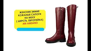 Бордовые зимние женские кожаные сапоги ARI ANDANO на меху ( шерсть, европейка )