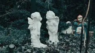 Под дождем