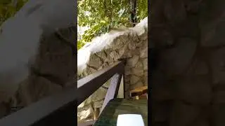 за мороженым