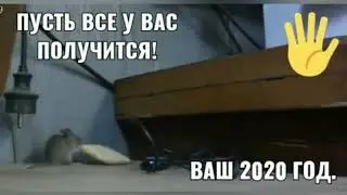 Пусть все у вас получится  ВАШ 2020 ГОД