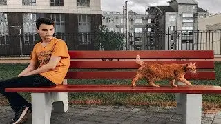 БРАЙН МАПС МОМЕНТЫ С ТИГРОЙ 3 (INSTAGRAM STORY)