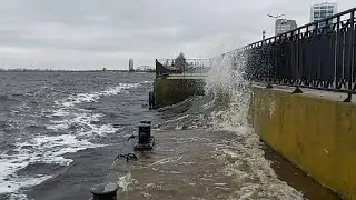 ШТОРМ на Днепре и МАГНОЛИИ в Долине