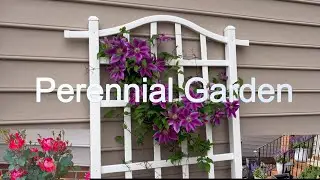 FRONT YARD PERENNIAL GARDEN / LOW MAINTENANCE / EASY TO GROW.