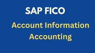 Accounting Information Accounting | Payment Transacions Accounting | SAP Access Financial Accounting