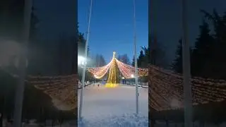 #shorts ЛЕНИН и ЕЛКА #путешествия #елка #кимры #новыйгод