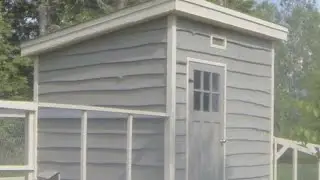 A Walk through our chicken coop