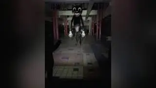 カートゥーンキャット　曲