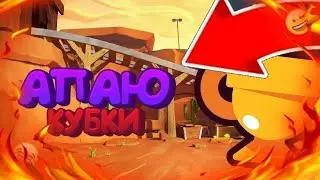 🛑ГРЭЙ НА 10 РАНГ 🛑 19200 КУБКОВ 🛑 БРАВЛ СТАРС