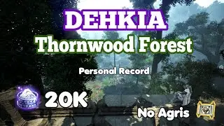 PRE SPOT CHANGES (OUTDATED) BDO | [Dehkia] Thornwood Forest | Succ Maegu | 20k (Lv2 LS, No Agris)