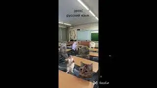 мой школьный день : среда  😀