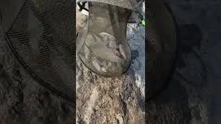 😍за 2 часа пойдет
