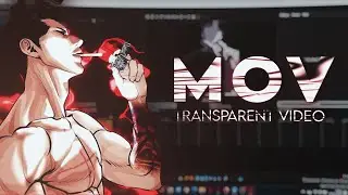How To make Your Overlay/Animation Transparent MOV Tutorial SONY VEGAS PRO