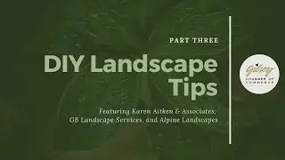 DIY Landscape Part Three