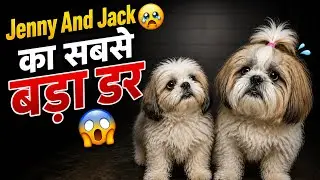 Aj Dono Ke Sath Hua Bura 🥺 | Jennykimasti 🐶