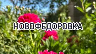 НОВОФЕДОРОВКА 2024. Что происходит ?