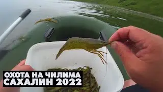 Охота на чилима / Ловля креветки на Сахалине 2022