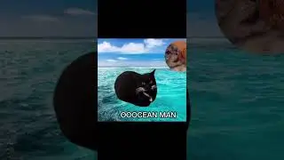 Ocean Man Cat
