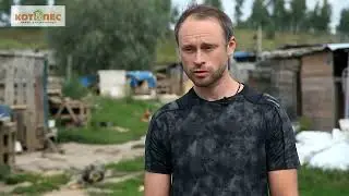 Ответственное отношение к животным