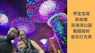 带宝宝去滨海湾花园看超级树音乐灯光秀