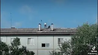 Без страховки лазает по крыше
