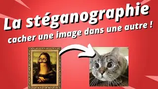 La Stéganographie : comment cacher des données dans une image ? Grand Oral du Bac