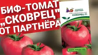 ИДЕАЛЬНЫЙ БИФ ТОМАТ "СКВОРЕЦ" ОТ ПАРТНЕРА