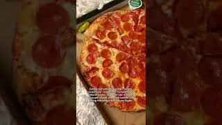 I bring Whole Pizzas onto the Plane  