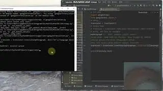 Google Translate with Python