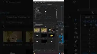 How to use Strobe Light Effect In Adobe Premier Pro.