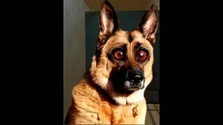 smex.exe