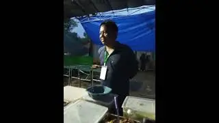 panitia tanpa lelah