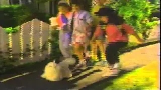 Yo-Yo my walking kitty commercial